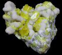 Sulfur Crystals on Aragonite - Italy #39017-1